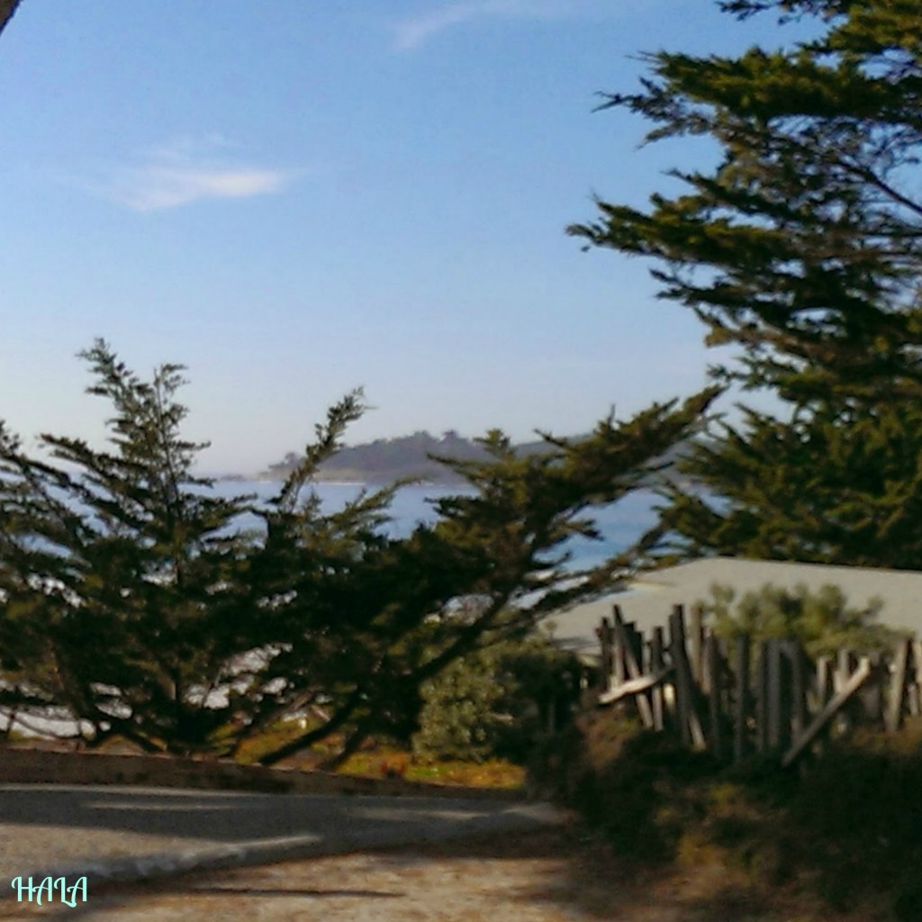 Carmel-Beach-Forest