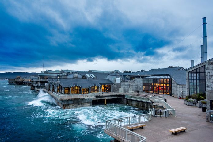 Monterey Bay Aquarium — Protecting Dory