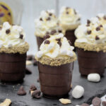 Chocolate S’mores Shots